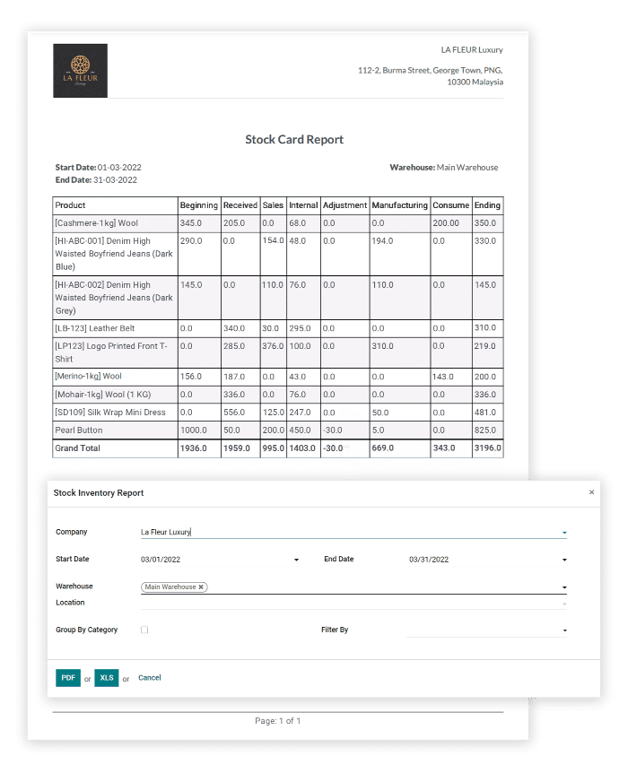 Stock Card Report Localized Odoo Inventory