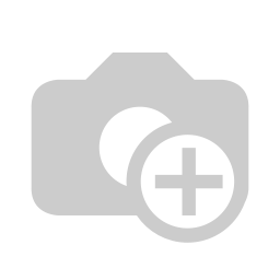 Lady doing reporting and analysis tasks
